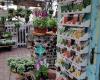 Rockingham Acres Garden Center