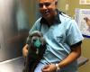 Roselle Park Animal Hospital