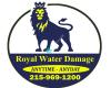 Royal Water Damage Restoration