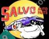 Salvo Auto Parts