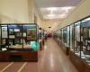 San Jacinto Museum of History