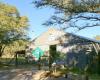 Sandy Oaks Kennels