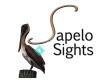 Sapelo Island Tours with Sapelo Sights