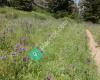 Schafer Butte Campground & Picnic Areas