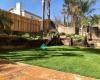 Scotts Artificial Grass