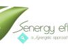 Senergy Efficiency LLC