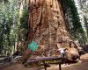 Sequoia National Park