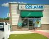 Shaggy's Dog Wash & Grooming