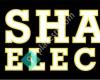 Shalsi Electric