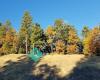 Shasta Trinity National Forest