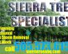 Sierra Tree specialist