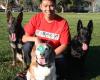 Sit Means Sit Dog Training South Bay