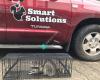 Smart Solutions Wildlife Removal