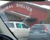 Souris Valley Animal Shelter