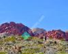 Southern Nevada Conservancy