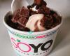 SoYo Frozen Yogurt