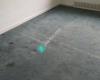 Steamaster Carpet Cleaning