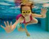 Stingrays Swimming