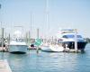 Stratford Marina -  Safe Harbor Marina