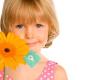 Sunflower Child Care
