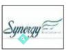 Synergy Motor Car Company