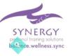 Synergy Training Solutions