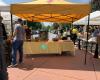 Takoma Park Farmers Market