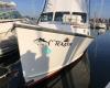 Teazer charters