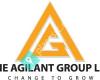 The Agilant Group