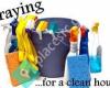 The Art of Cleaning, LLC