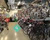 The Bicycle Cellar