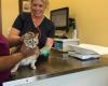 The Cat Vet Clinic