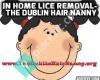 The Dublin Lice Nanny