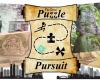 The Great Puzzle Pursuit