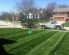 The Greener Side Lawn Care
