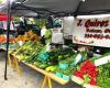 The Kamm’s Corners Farmers Market