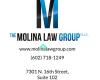The Molina Law Group