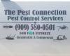 The Pest Connection