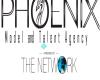 The Phoenix Agency