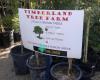 Timberland Tree Farm