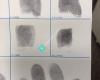 TLG Fingerprinting & Notary