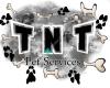 TNT Pet services