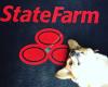 Tom Plooy - State Farm Insurance Agent