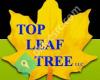 Top Leaf Tree