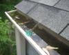 Torres Gutter Cleaning