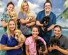 Town & Country Veterinary Hospital + Pleasanton Pet Hotel