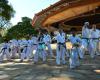 Traditional Taekwon-Do Center Honolulu