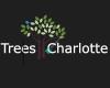 Tree Charlotte