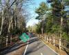 Trestle Trail