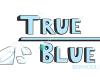 True Blue Services